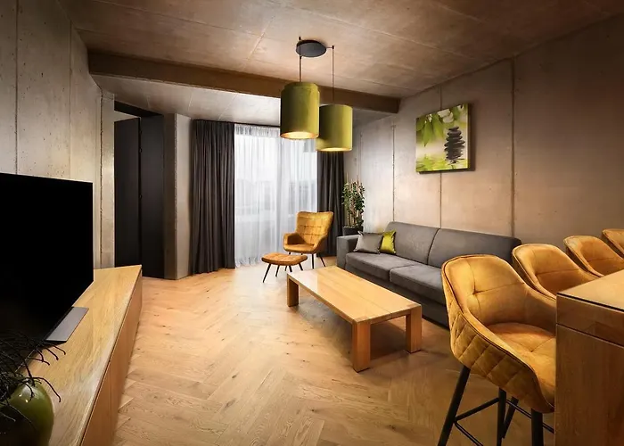 Tatry Premium 公寓 *