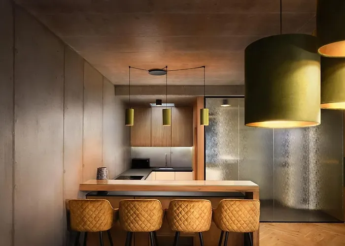 公寓 Tatry Premium 盖兹马洛克